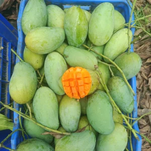 22 কেজি 2700 টাকা